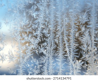A study of ice crystals on a subzero frozen morning in Mequon Wisconsin