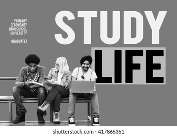 Study Life Education Knowledge Studying Learning Concept