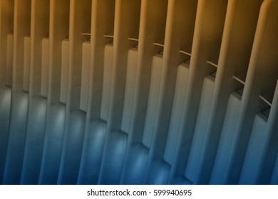 Study of patterns, lines and colors. 