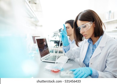 Studying substances - Shutterstock ID 531456433
