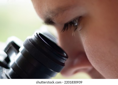 Studying Through A Microscope Close Observation Of Students, Scientific Discovery, Biological Research