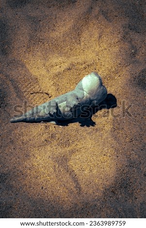 A stuff toy found in the sandy ground in park. ( Canon Eos T6 using 18-55mm lenses )