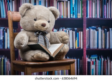 Stuffed Animal Bear Holds An Open Book Sitting On An Old Wooden Chair In Front Of A Book Shelf