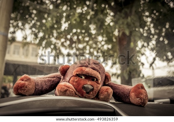 car stuffed animal