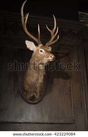 Stuffed animal of a deer at classical interior