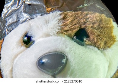 Stuffed Animal With A Tin Foil Hat