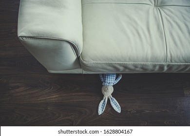 Stuffed Animal Under A Sofa