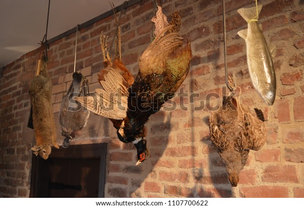 Stuffed Animals Hanging Down On Brick Stock Photo Edit Now