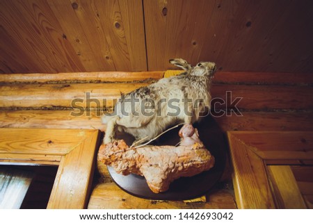 Stuffed animals rabbit hanging down with on a wood background.