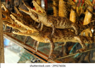 Stuffed baby crocodiles,  Old Market, Siem Reap,  Cambodia