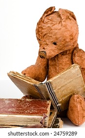 Stuffed Bear Reads Opened Book