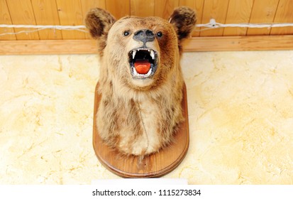 stuffed bear head