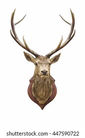 Stuffed Deer Head Isolated On White With Clipping Path.