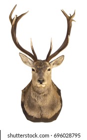 Stuffed Deer Head On White Background