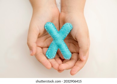 Stuffed Felt Letter Of The Alphabet In Open Hands Of Child. Kid Holding Handmade Capital Letter 