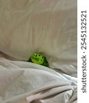 Stuffed Frog Tucked in Bed with Cozy Blanket