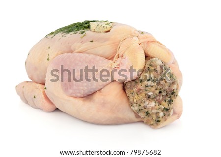 Stuffed organic chicken isolated over white background. Selective focus