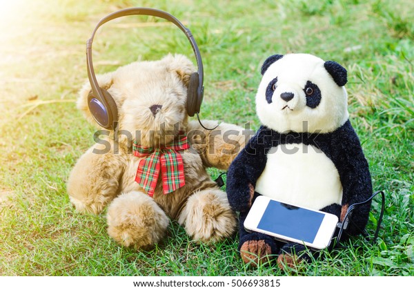 panda and teddy