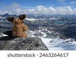 A stuffed reindeer gazing out over the Norwegian mountains from the summit of Falketind