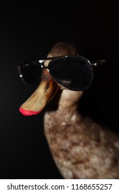 lipstik duck