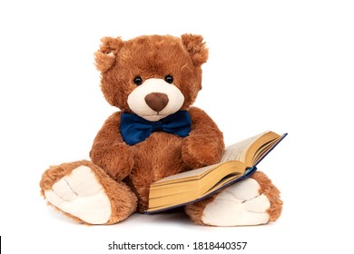 Stuffed teddy bear with book isolated, preschool or kindergarten studying. Plush doll reading fairy tales and stories from textbooks. Intelligent smart cuddly toy with blue bow. Hobbies and relaxation
