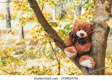 Stuffed toy animal Teddy bear dressed in a fluffy warm scarf sits on a tree in the autumn forest
