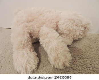 A Stuffed Toy Teddy Bear Face Down On A Childrens Bedroom Floor Looking Sad And Unloved