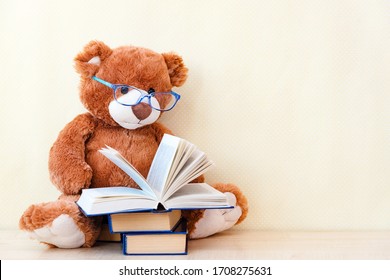 stuffed toy Teddy bear in glass reading an interesting book, showing that even read toys. the concept of baby learning 