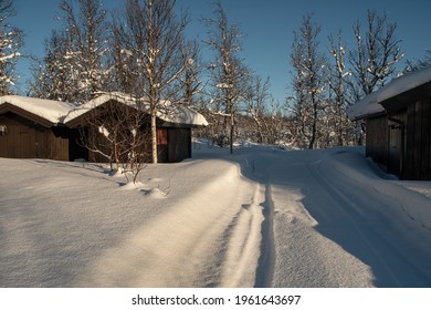 ノルウェー レーヌ の画像 写真素材 ベクター画像 Shutterstock