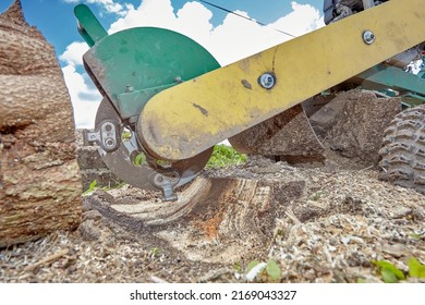 The stump is crushed using a stump cutting knife. The surrounding savings are held by a barrier. Concept: forestry or construction site