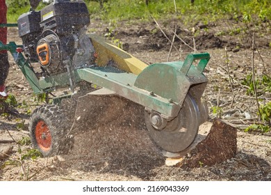 The stump is crushed using a stump cutting knife. The surrounding savings are held by a barrier. Concept: forestry or construction site