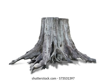 Stump dead tree isolated on white background. This has clipping path.                          - Powered by Shutterstock