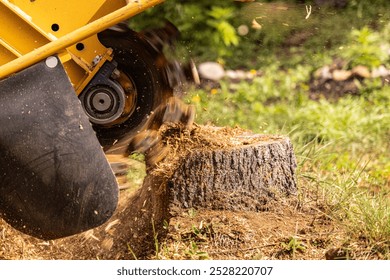 Stump grinder machine is grinding a tree stump in a garden, creating wood chips. Selective focus - Powered by Shutterstock