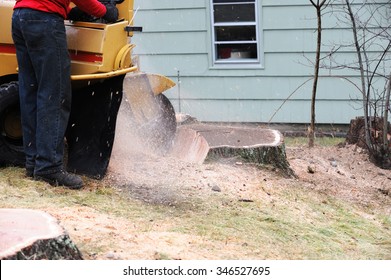 Stump Grinding