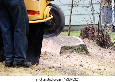 Stump Grinding