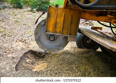 A Stump Grinding  Machine Removing A Stump From Cut Down Tree