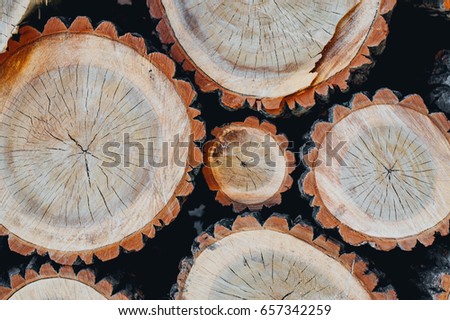Stump wooden wall background 