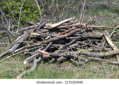 77,765 Logs branches Images, Stock Photos & Vectors | Shutterstock