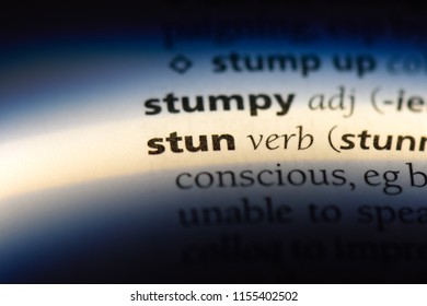 Stun Word Dictionary Stun Concept Stock Photo 1155402502 | Shutterstock