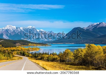 Stunning Abraham Lake in the Canadian Rockies.  The yellow foliage of birches and aspens is mixed with green conifers. Asphalt highway leads to Abraham Lake