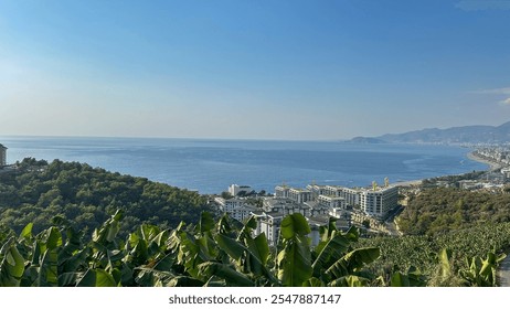 A stunning aerial view of a coastal city with banana plantations in the foreground, modern buildings, and the Mediterranean Sea stretching to the horizon. Ideal for travel, real estate, and agricultur - Powered by Shutterstock