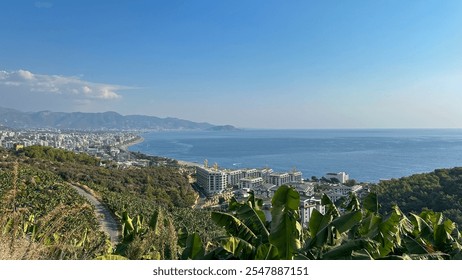 A stunning aerial view of a coastal city with banana plantations in the foreground, modern buildings, and the Mediterranean Sea stretching to the horizon. Ideal for travel, real estate, and agricultur - Powered by Shutterstock