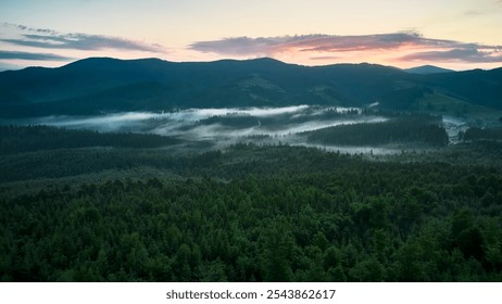 Stunning aerial view of dense forest blanketed in morning mist, with rolling green hills and distant mountains under pastel sky. Mist creates dreamy atmosphere, softening landscape's features. - Powered by Shutterstock