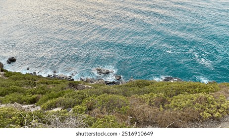 A stunning aerial view of rocky shores and vibrant turquoise waters, where gentle waves crash against the stones. Lush greenery frames the scene, highlighting the beauty of the coastal landscape. - Powered by Shutterstock