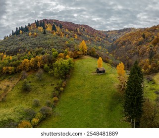 Stunning aerial view of a rustic cabin nestled in a vibrant autumnal landscape. Golden and crimson leaves blanket the hills, creating a breathtaking scene of nature's beauty. - Powered by Shutterstock