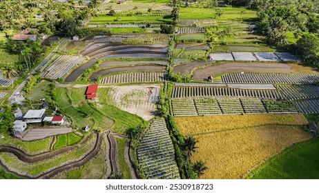 A stunning aerial view of terraced rice fields, lush greenery, and traditional homes in Sambi Village, Sleman, reflecting the region's agricultural richness and rural charm - Powered by Shutterstock