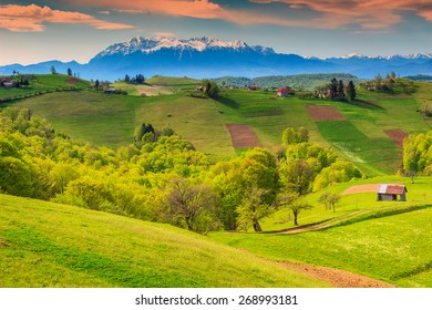 Stunning alpine landscape and green fields,Holbav,Transylvania,Romania,Europe