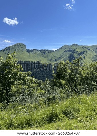 A stunning alpine view of the Pointe de Nyon (2,019m) and Pointe d'Angolon (2,090m) from the top of Le Pléney in the Chablais Alps, Haute-Savoie, Rhône-Alpes, France.