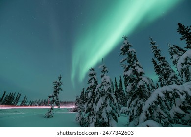 A stunning, aqua green display of northern lights seen in winter time, snowy season with snow covered trees and landscape in north Canada during Aurora Borealis viewing along the Alaska Highway - Powered by Shutterstock