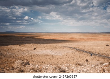 Stunning Arizona landscape showcasing vast open terrain with a straight road, desert vegetation, and a distant mountain under a partly cloudy sky. Perfect for nature enthusiasts. - Powered by Shutterstock